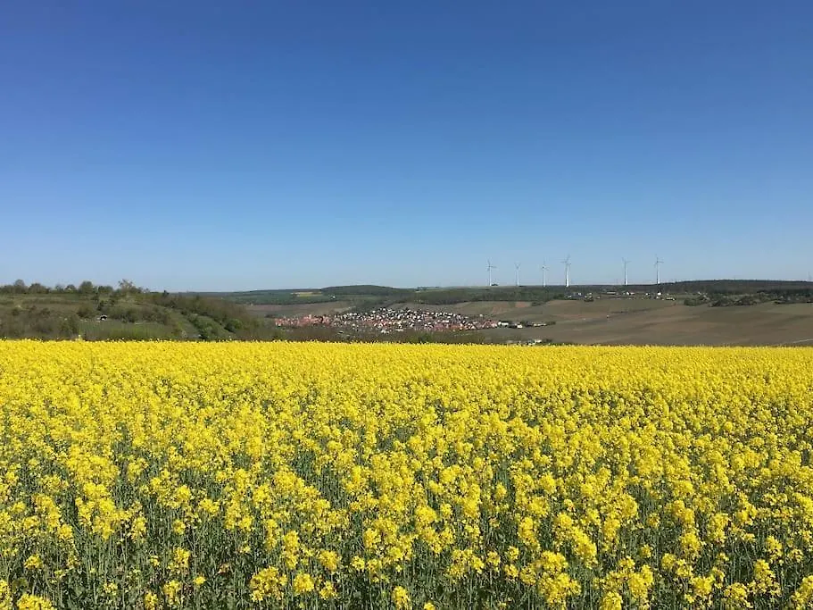 Ferienwohnung Weinbergsblick Optimale Stadtnaehe 奥森富尔特 公寓