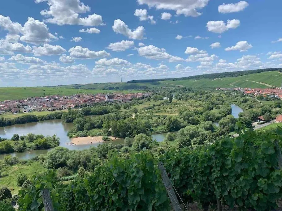Ferienwohnung Weinbergsblick Optimale Stadtnaehe 奥森富尔特 0*,