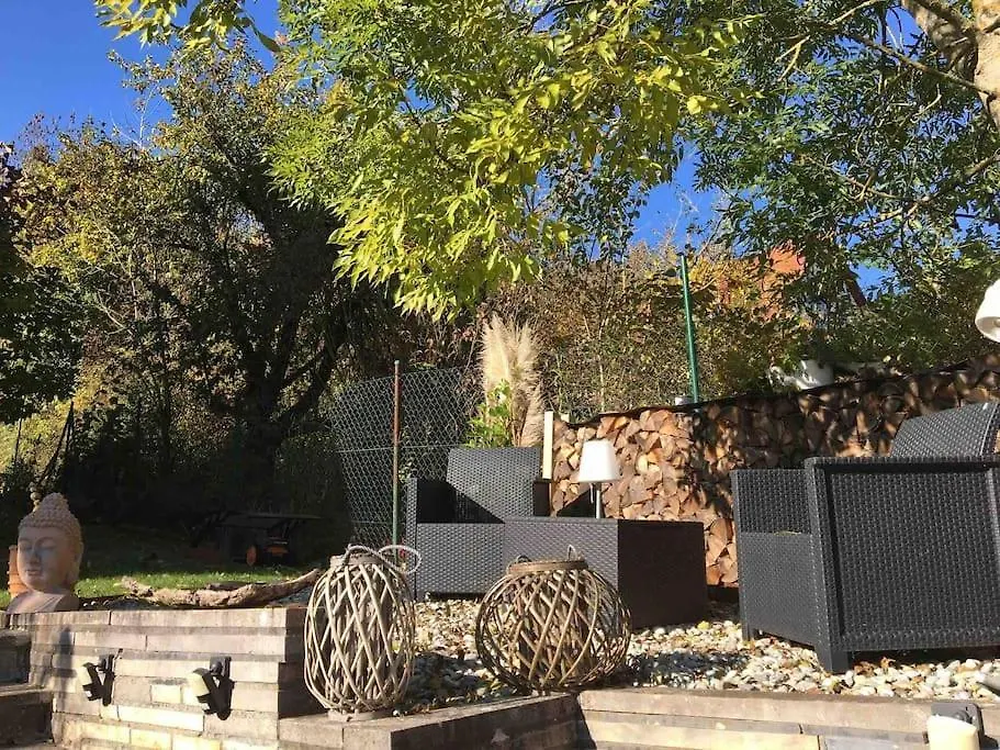 公寓 Ferienwohnung Weinbergsblick Optimale Stadtnaehe 奥森富尔特