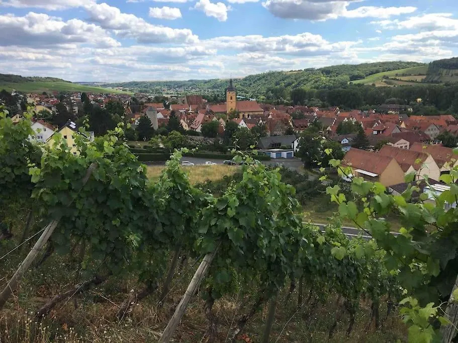 Ferienwohnung Weinbergsblick Optimale Stadtnaehe 奥森富尔特 德国